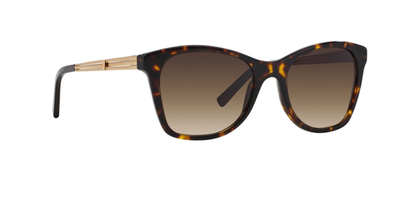 Ralph Lauren RL8113 500313 54-19 Óculos de sol Tartaruga | Óticas